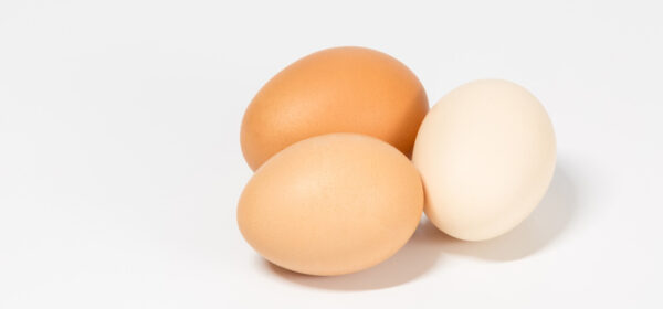 Sirota's 3-Factor Theory