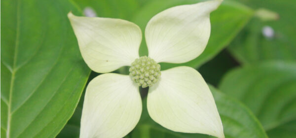 4 Dimensions of Relational Work