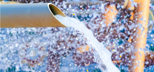 Cash Flow Forecasting