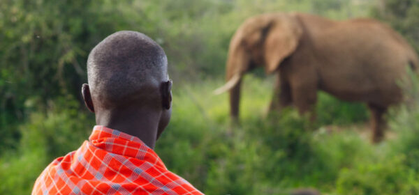 Conflict to Collaboration