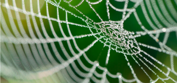 Cultural Web - Fundamentals of Strategy