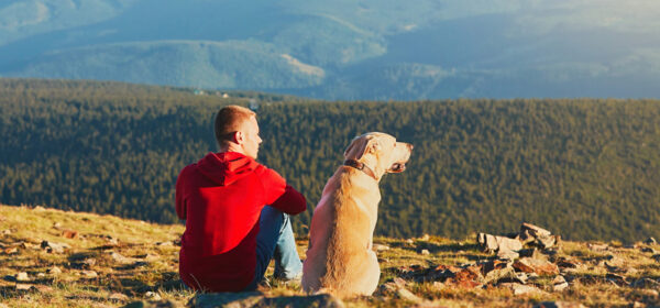 Customer Loyalty: The Loyalty Ladder