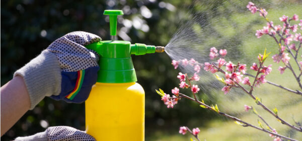 Deming's Diseases of Management