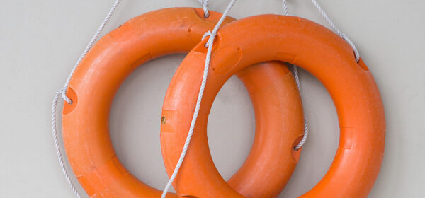 Double Loop Learning