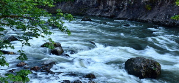 Flow: The Secret for Happiness