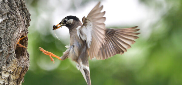 Key Account Management