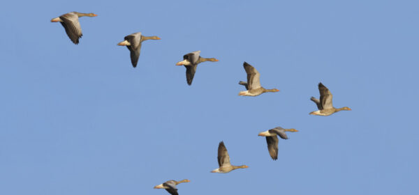 Leadership Challenge