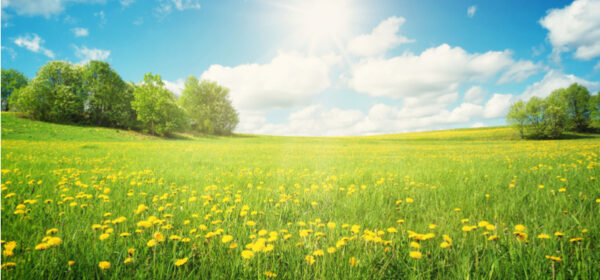 McKinsey's 3 Horizons of Growth