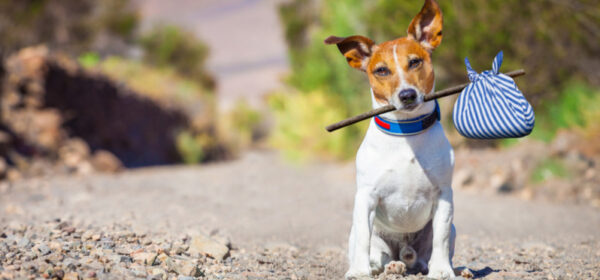 Sabbaticals - Gap Years