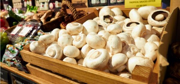 Segmentation, Targeting and Positioning Model (STP) 