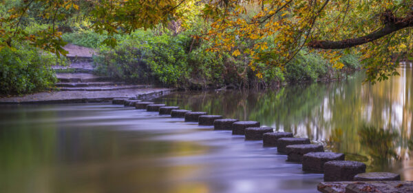 Selling the Next Step