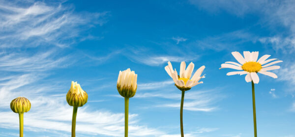 7 Transformations of Leadership