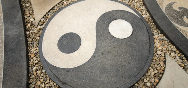 TAO of Coaching - Skill/Will Matrix