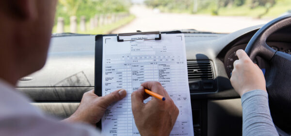 New Business Road Test - Mullins' Seven Domains Model