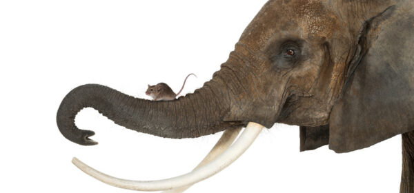 Magic of Thinking Big