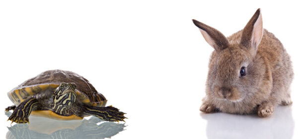 Thinking Fast and Slow