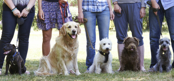 Training Needs Assessment