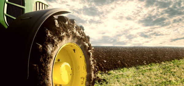 Triggers: The Wheel of Change