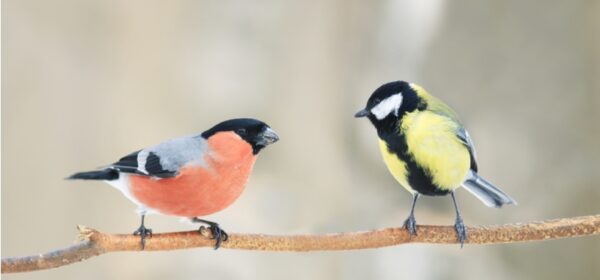 Negotiation: Separating the People from the Problem