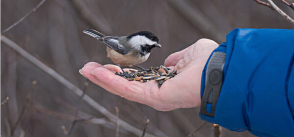 Jacob's Workplace Trust Model